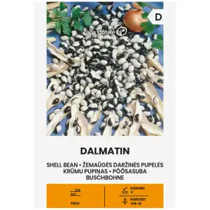 Фасул Далматин / Dalmatin (храстовиден с  шарено бяло-черно зърно)