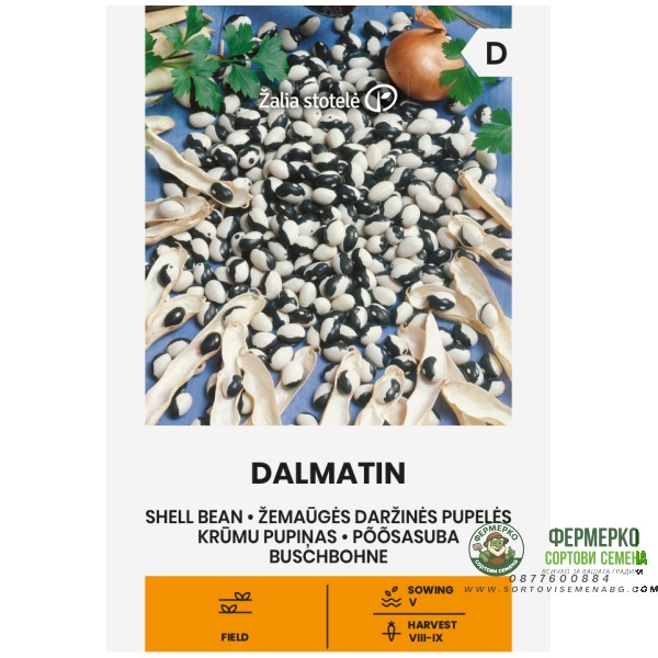 Фасул Далматин Dalmatin (храстовиден с шарено бяло-черно зърно)