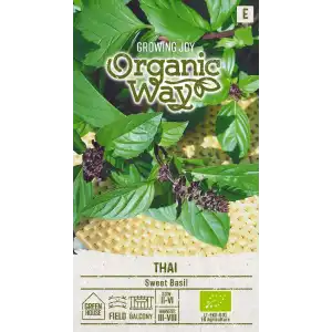 Органик Босилек Тай / Ocimum basilicum