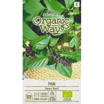 Органик Босилек Тай Ocimum basilicum