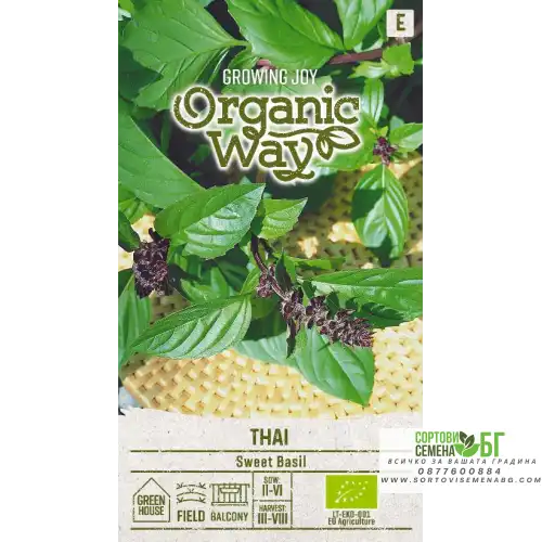 Органик Босилек Тай / Ocimum basilicum Органик Босилек Тай / Ocimum basilicum