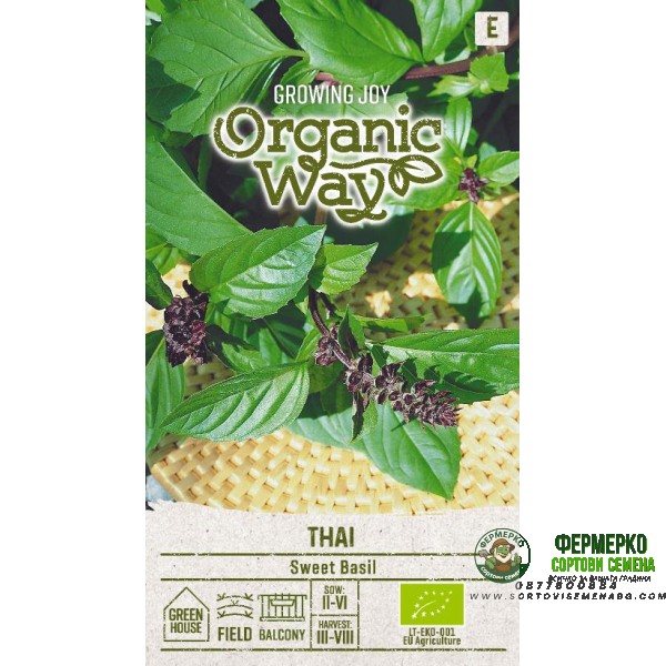 Органик Босилек Тай Ocimum basilicum