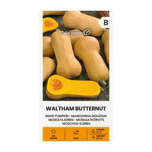Тиква Бутернут (мускатна) / Waltham Butternut