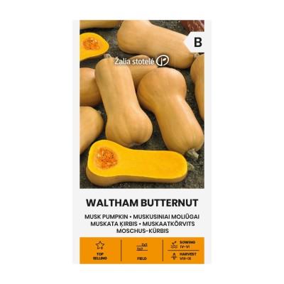 Тиква Бутернут (мускатна) / Waltham Butternut