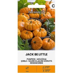 Тиква Джак Би Литъл Jack be Little