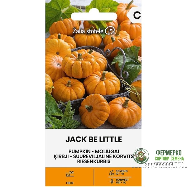 Тиква Джак Би Литъл Jack be Little