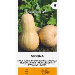 Тиква мускатна Виолина Violina