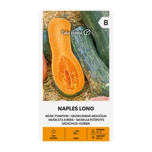Тиква мускатна Неапол Лонг / Naples Long