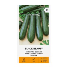 Тиквички Блек Бюти BLACK BEAUTY