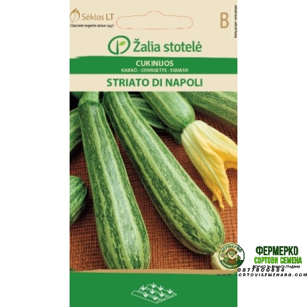 Тиквичка шарена Наполи Striato di Napoli