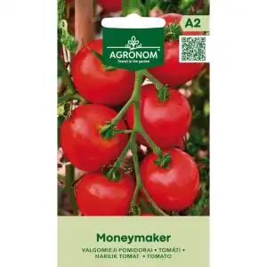 Домат Мънимейкър / Moneymaker