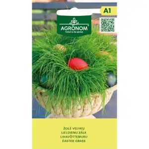 Великденска трева / Easter grass