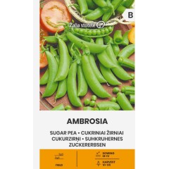 Грах Амброзия (Захарен) Ambrosia