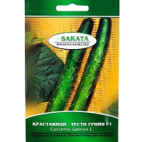 Краставици Тести грийн F1