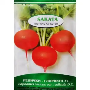 Репички Глориета F1