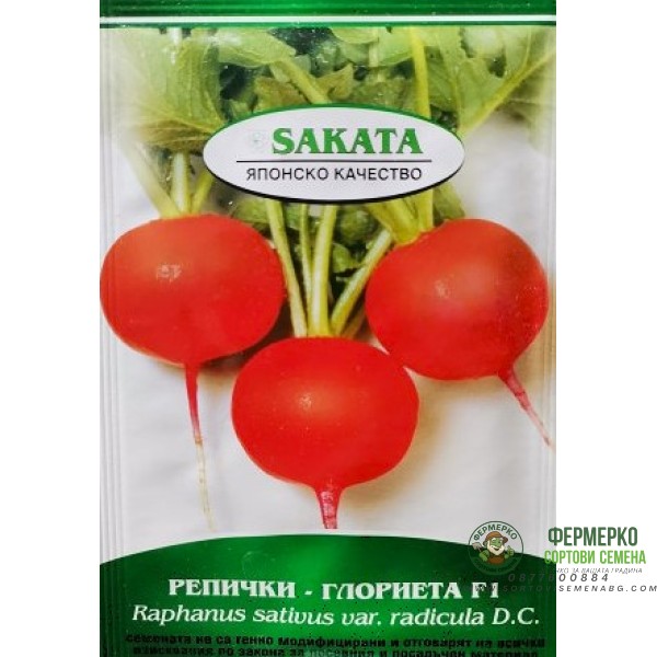 Репички Глориета F1