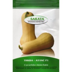 Тиква мускатна Атлас F1 - НОВО