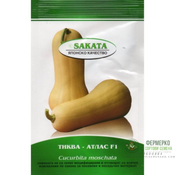 Тиква мускатна Атлас F1 - НОВО