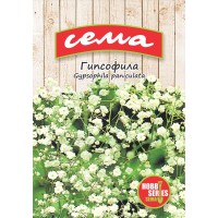 Гипсофила / Gypsophila paniculata