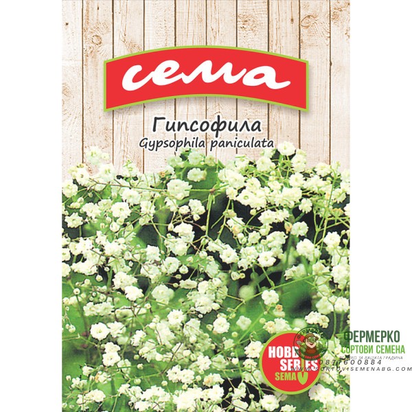 Гипсофила Gypsophila paniculata