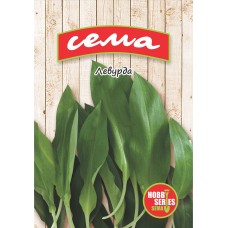 Левурда Allium ursinum