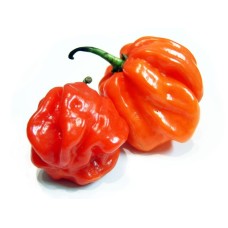 Люти чушки Скоч Бонет Scotch Bonnet