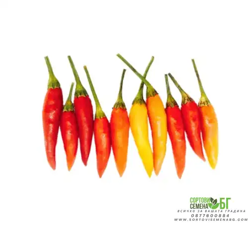 Люти чушки Табаско / Tabasco Люти чушки Табаско / Tabasco