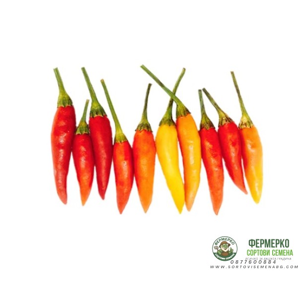 Люти чушки Табаско Tabasco