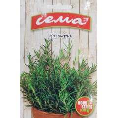 Розмарин Rosmarinus officinalis