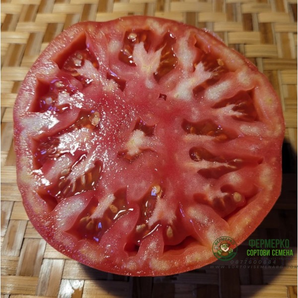 Домати Белмонте F1