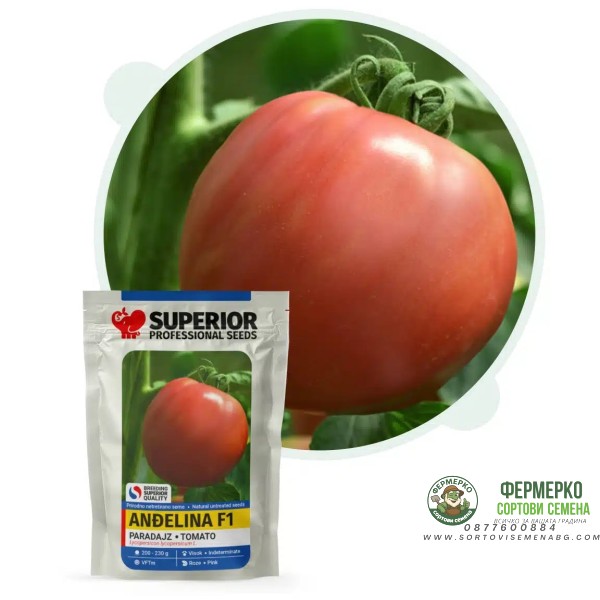 Домат Анджелина F1 - джинка