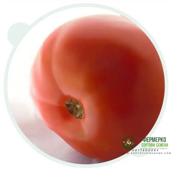 Домат Супер Бийф F1
