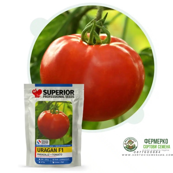 Домат Ураган F1