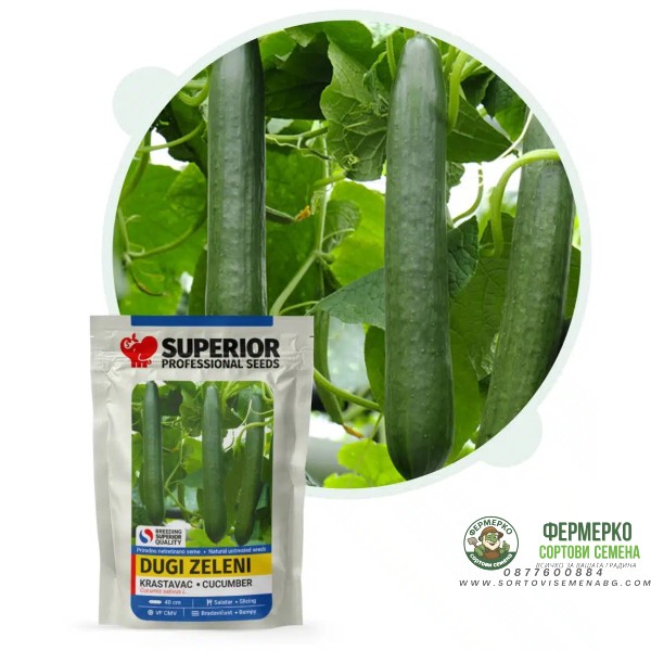 Китайска дълга краставица (Чайна Лонг)