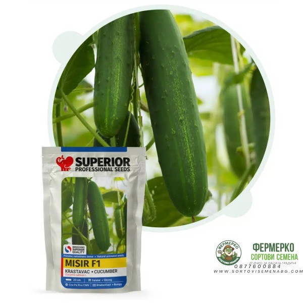 Краставици Мисир F1