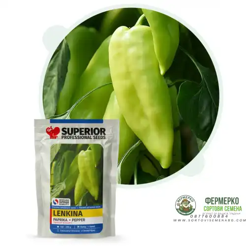 Пипер Ленкина / Lenkina