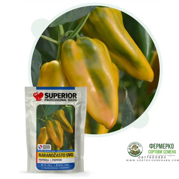 Пипер Оранжево ухо