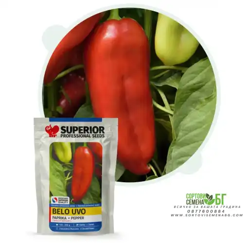 Пипер Бело ухо Пипер Бело ухо