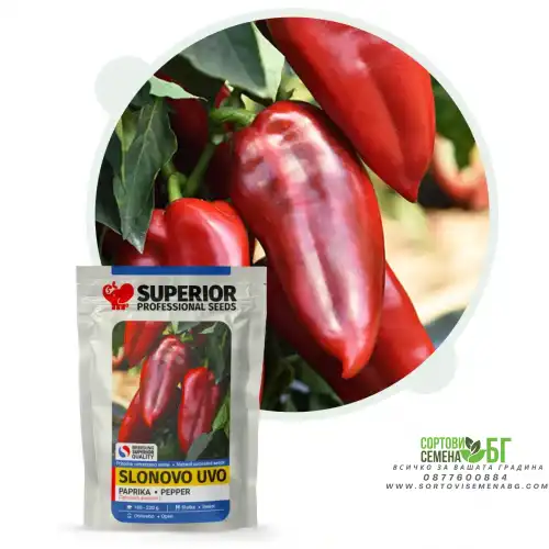 Пипер Слоново ухо Пипер Слоново ухо