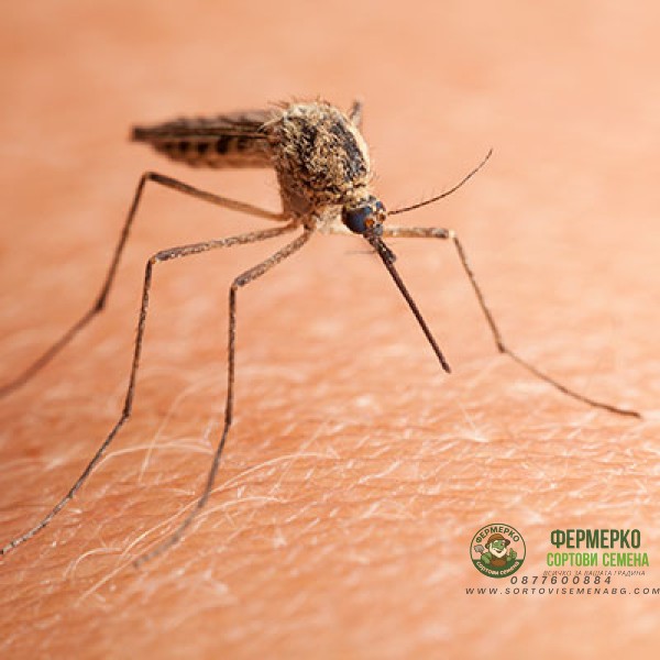 Зиг Заг Insetti Via Sport - репелент лосион против насекоми, комари, кърлежи