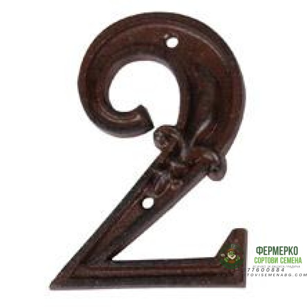 Чугунена цифра 2