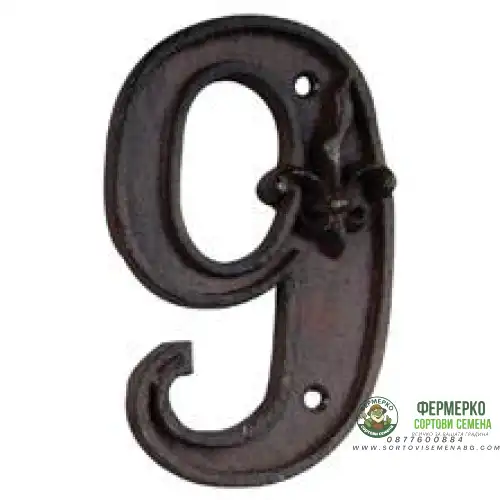 Чугунена цифра 9