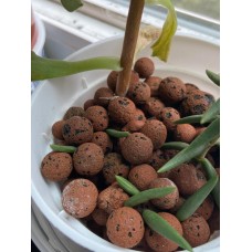 Керамзитени топчета (камъчета)