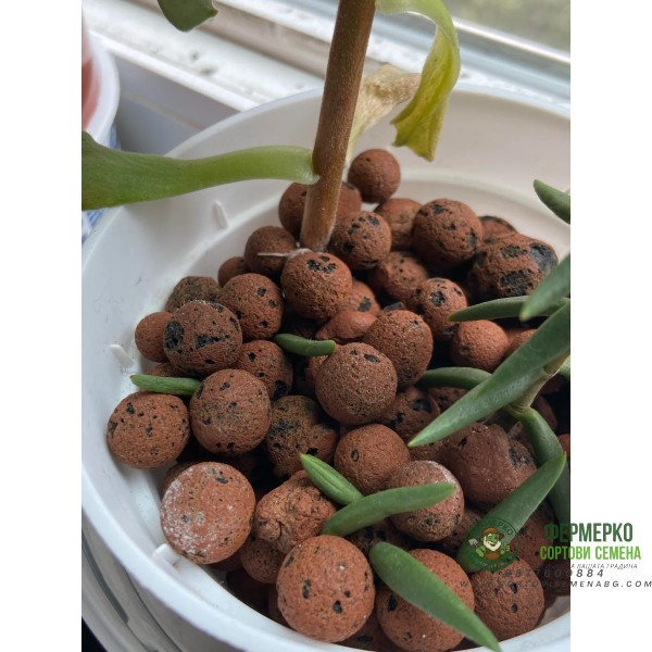 Керамзитени топчета (камъчета)