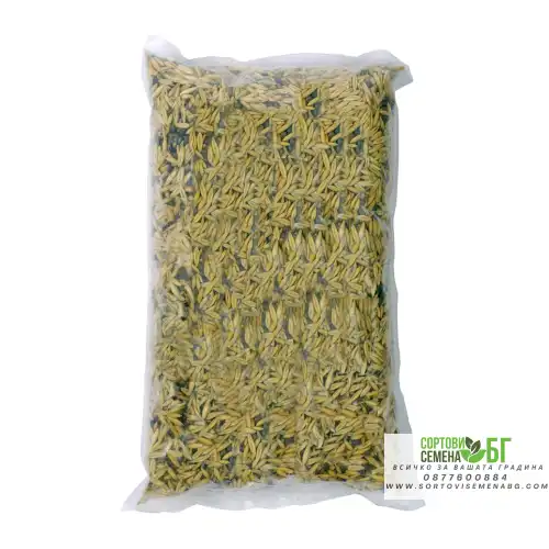 Овес и Фий / Avena sativa, Vicia sativa – МИКС за зелено торене Овес и Фий / Avena sativa, Vicia sativa – МИКС за зелено торене