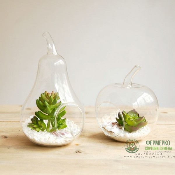 Стъклена круша