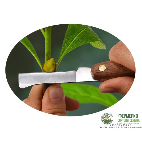 Нож Овощарски 173мм