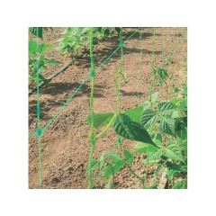 Мрежа за краставици и други катерливи растения