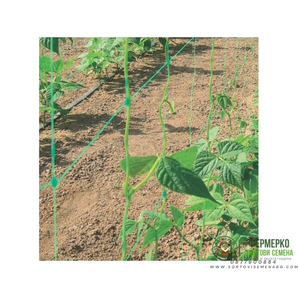 Мрежа за краставици и други катерливи растения