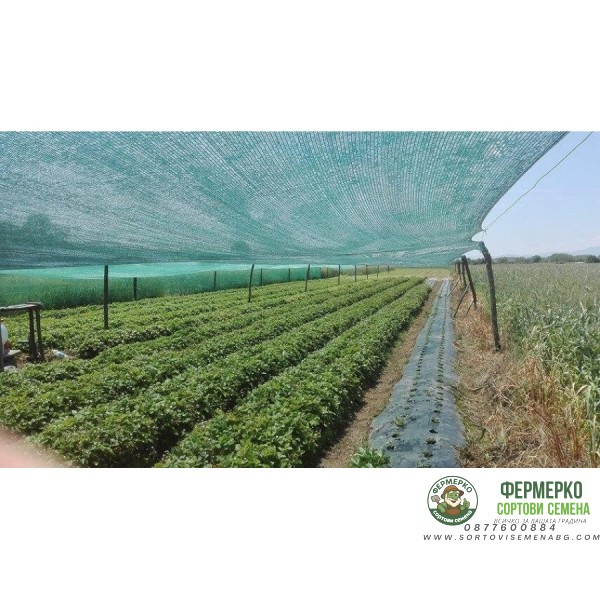 НОВО Мрежа за предпазване от градушки - по размер на клиента